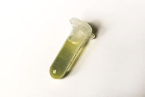 Immersion liquid, 1mL